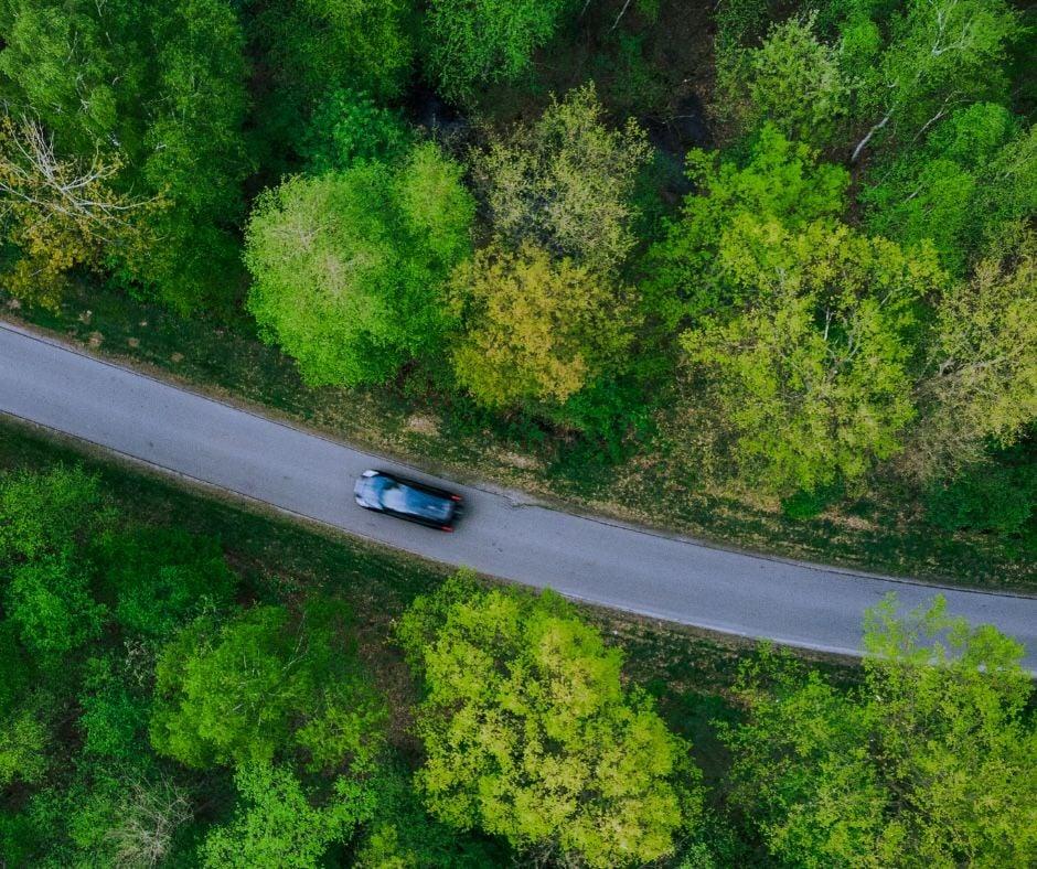 Auto das über eine Landstraße im Wald fährt