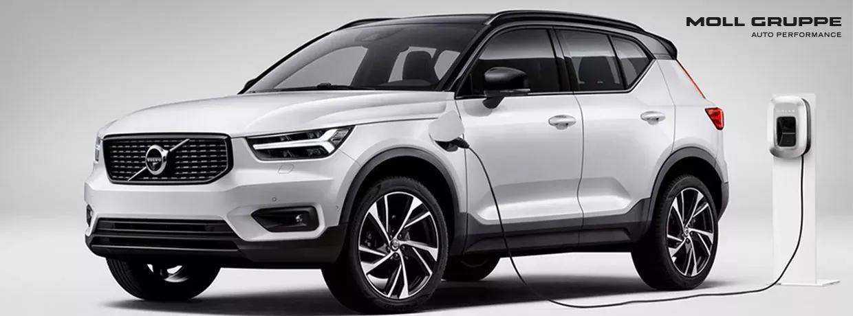 Partnerschaft MOLL Gruppe - The Mobility House