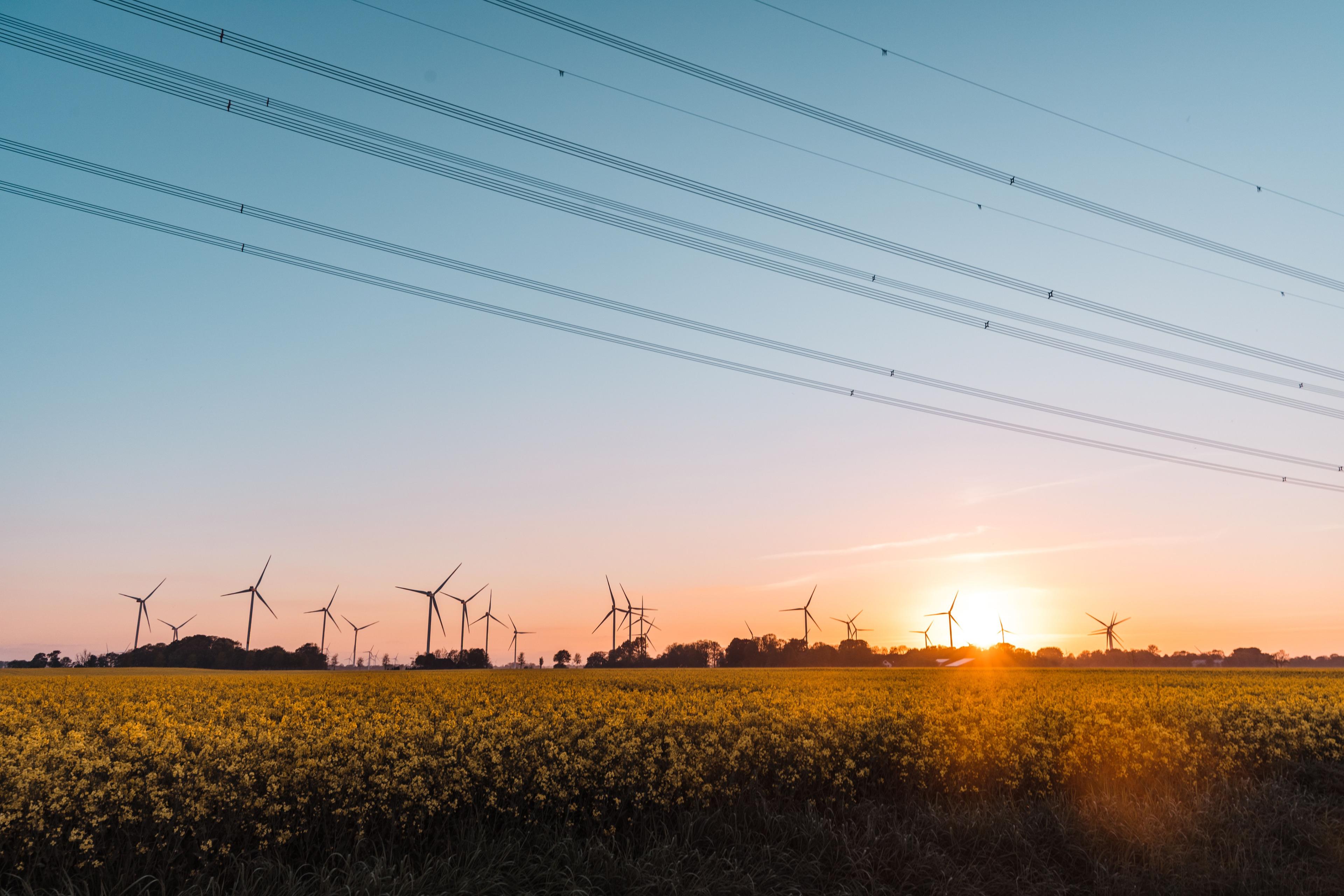Windräder im Sonnenuntergang