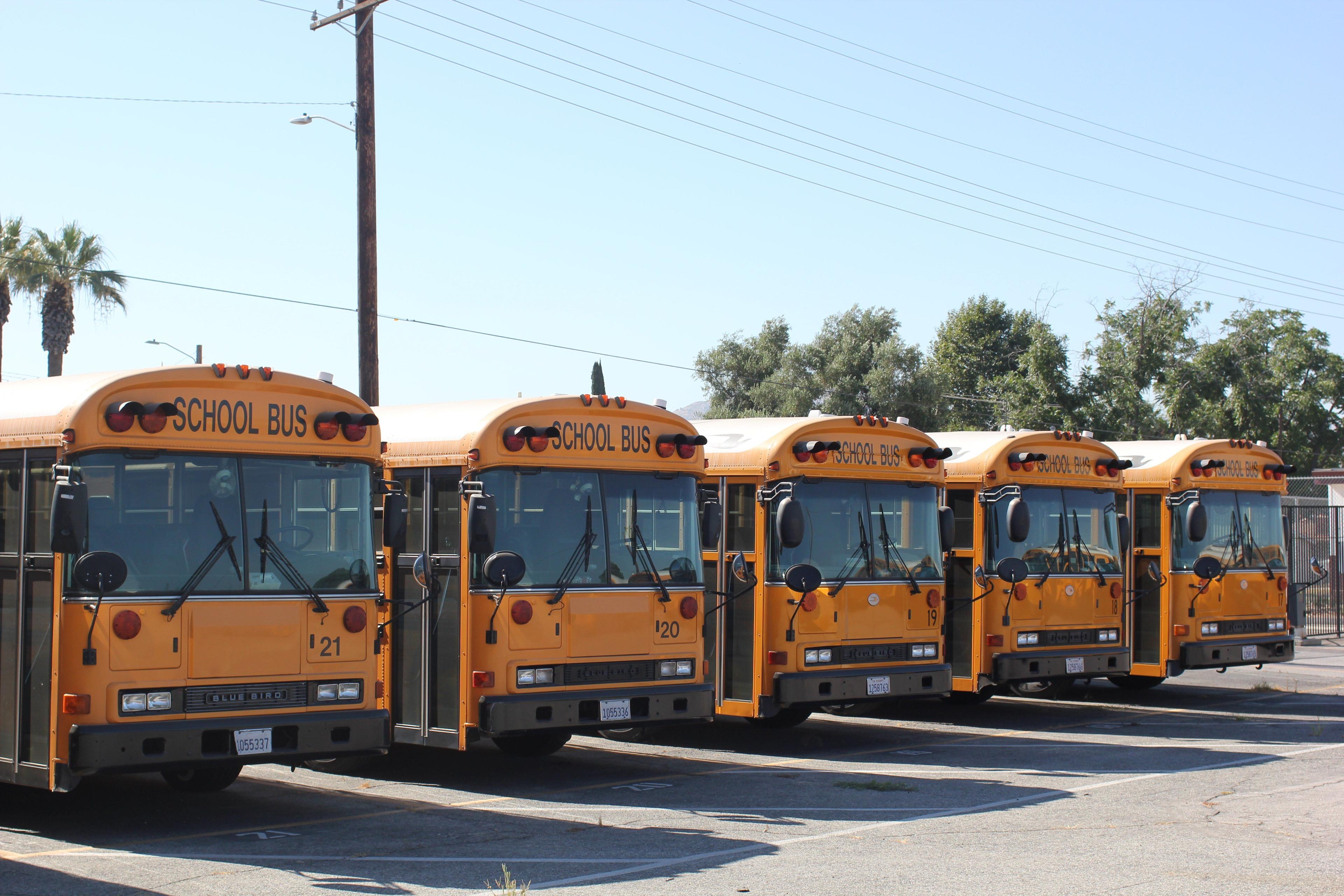 School bus fleet